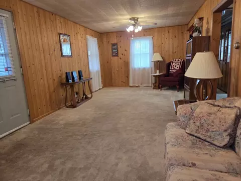 303 E First St, Leaf River, IL 61047 photo 3