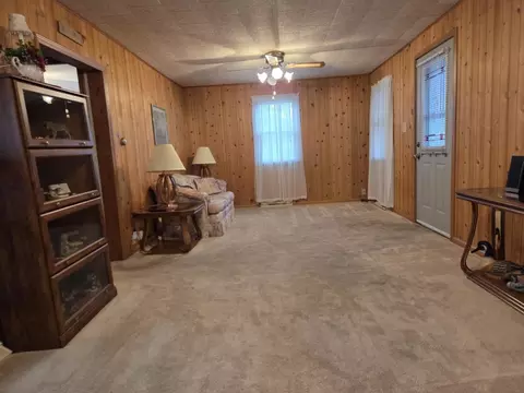 303 E First St, Leaf River, IL 61047 photo 4