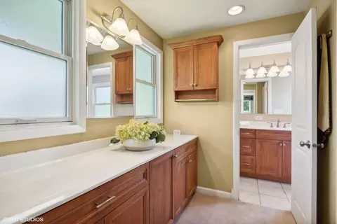 Bath - 1508 Gamon Rd, Wheaton, IL 60189 photo 2 of 6