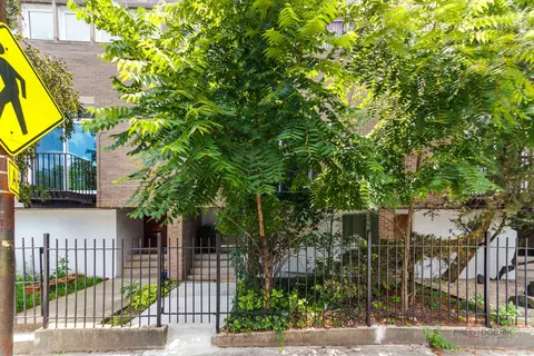 Exterior - 1325 E 55th St, Chicago, IL 60615 photo 4 of 8