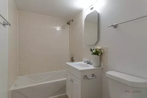 Bath - 1325 E 55th St, Chicago, IL 60615 photo 2 of 3
