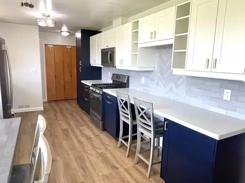 Kitchen - 1011 W 3rd St, Spring Valley, IL 61362 photo 3 of 8