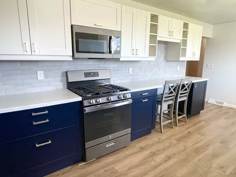 Kitchen - 1011 W 3rd St, Spring Valley, IL 61362 photo 8 of 8