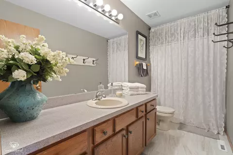 Bath - 2704 Discovery Dr, Plainfield, IL 60586 photo 1 of 2