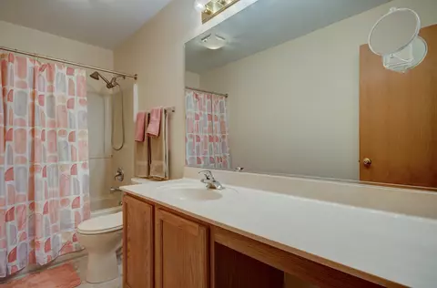 Bath - 5615 Cider Grove Ct, Plainfield, IL 60586 photo 3 of 4