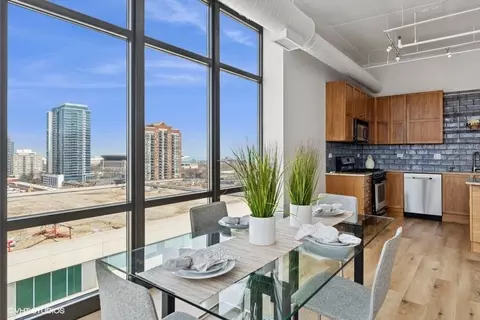 212 E Cullerton St #PH P11, Chicago, IL 60616 photo 8