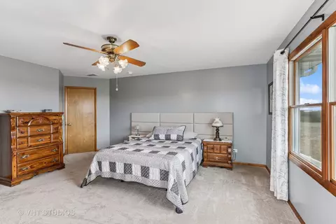 156 E Corning Rd, Beecher, IL 60401 photo 24