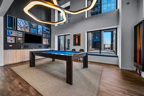 Other - 450 E Waterside Dr #802, Chicago, IL 60601 photo 6 of 10