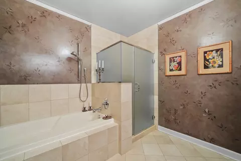 Bath - 450 E Waterside Dr #802, Chicago, IL 60601 photo 3 of 4