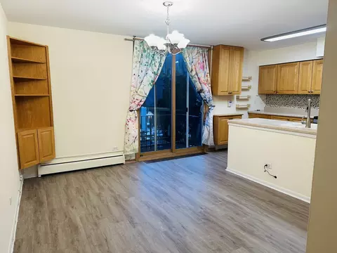 Living - 1455 E 55th Pl, Chicago, IL 60637 photo 3 of 4