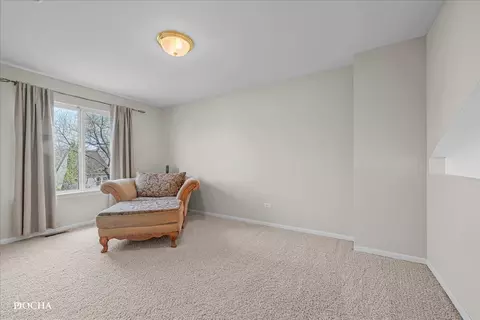 4301 Anthony Ln, Plainfield, IL 60586 photo 18
