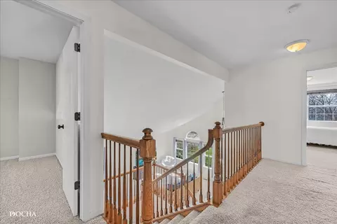 4301 Anthony Ln, Plainfield, IL 60586 photo 20