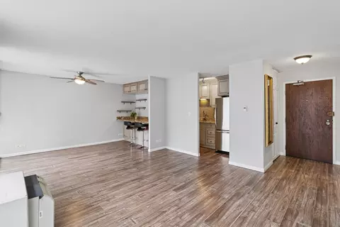 Living - 71 E Division St #702, Chicago, IL 60610 photo 2 of 5
