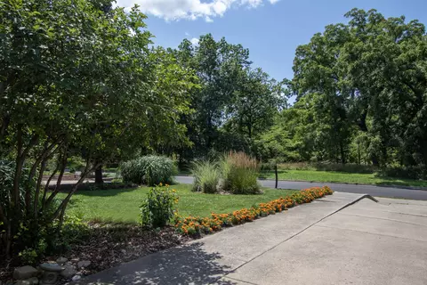 227 Thatcher Ave, River Forest, IL 60305 photo 3