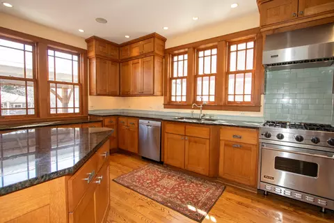 227 Thatcher Ave, River Forest, IL 60305 photo 14