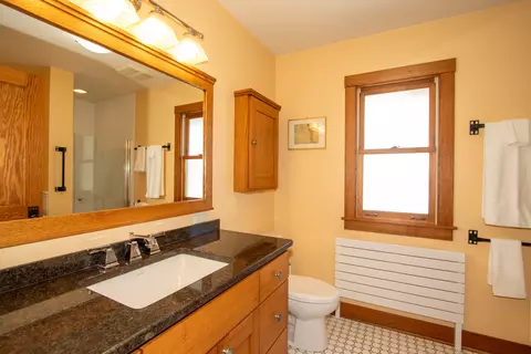 227 Thatcher Ave, River Forest, IL 60305 photo 27