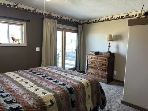 Bedroom - 11350 Lincoln Rd, Morrison, IL 61270 photo 2 of 7