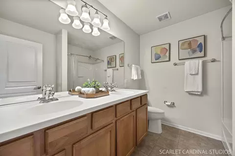 Bath - 1045 Crane Pt, Elgin, IL 60124 photo 2 of 3