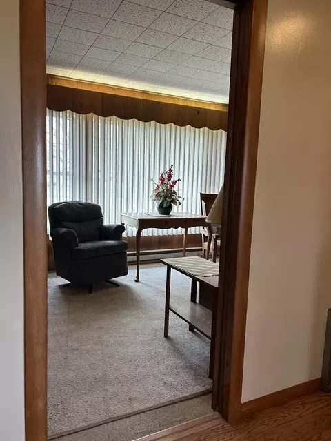 3898 E 739th Rd, Triumph, IL 61371 photo 11
