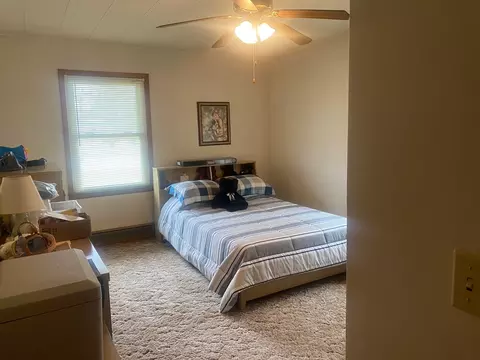 3898 E 739th Rd, Triumph, IL 61371 photo 36