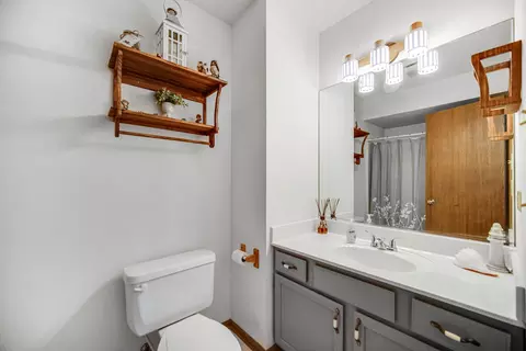 Bath - 5606 W Von Ave #A, Monee, IL 60449 photo 3 of 3