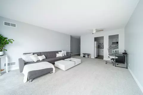 5200 Carriageway Dr #324, Rolling Meadows, IL 60008 photo 10