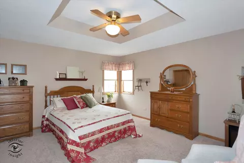 274 N School St, Braidwood, IL 60408 photo 14