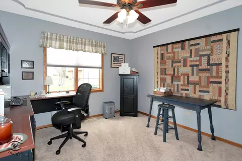 274 N School St, Braidwood, IL 60408 photo 13