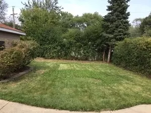 3604 Bobolink Ln, Rolling Meadows, IL 60008 photo 16