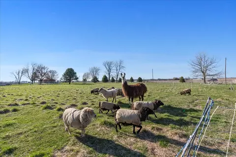 Other - 103 E 1400 North Rd, Danvers, IL 61732 photo 10 of 11