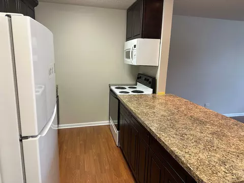 3265 Kirchoff Rd #216, Rolling Meadows, IL 60008 photo 4