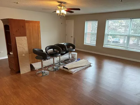 3265 Kirchoff Rd #216, Rolling Meadows, IL 60008 photo 6