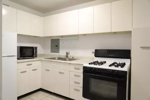 1400 E 55th Pl #313S, Chicago, IL 60637 photo 7