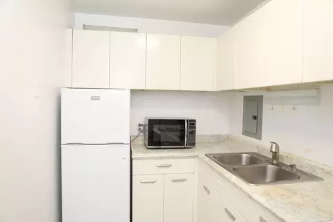 1400 E 55th Pl #313S, Chicago, IL 60637 photo 8