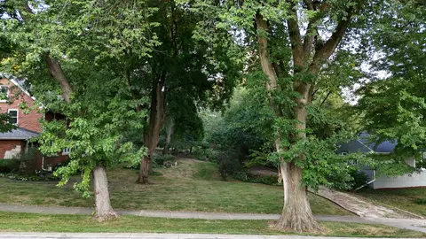 5533 Brookbank Rd, Downers Grove, IL 60516