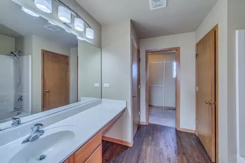 Bath - 1610 Sugar Maple Dr, Plainfield, IL 60586 photo 2 of 3