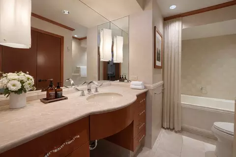 Bath - 175 E Delaware Pl #9007, Chicago, IL 60611 photo 2 of 6