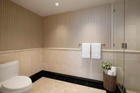 Bath - 175 E Delaware Pl #9007, Chicago, IL 60611 photo 5 of 6