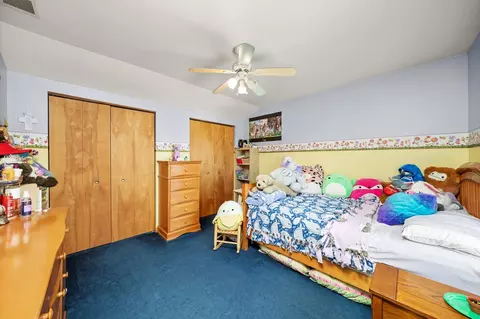 4302 Carrington Ln, Plainfield, IL 60586 photo 13