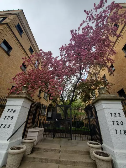 726 W Sheridan Rd #3N, Chicago, IL 60613
