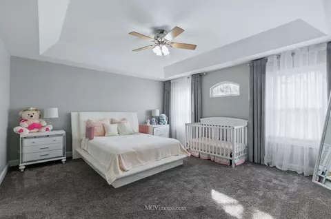 13122 Sunderlin Rd, Plainfield, IL 60585 photo 15