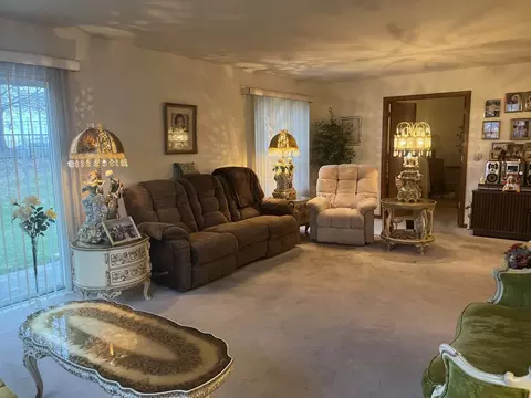 13811 S Mandarin Ct, Plainfield, IL 60544 photo 5