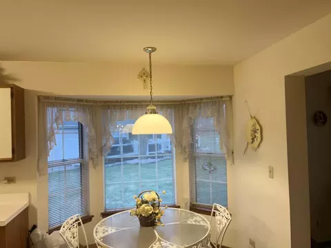 13811 S Mandarin Ct, Plainfield, IL 60544 photo 10