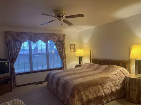 13811 S Mandarin Ct, Plainfield, IL 60544 photo 11