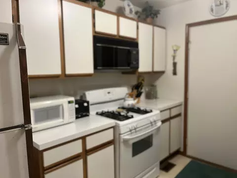 13811 S Mandarin Ct, Plainfield, IL 60544 photo 7