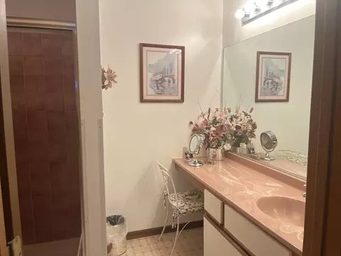 13811 S Mandarin Ct, Plainfield, IL 60544 photo 13