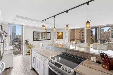 71 E Division St #1706, Chicago, IL 60610 photo 7