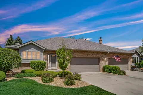 9154 Arbour Walk Dr, Frankfort, IL 60423