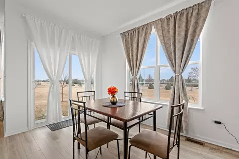 16109 S Longcommon Ln, Plainfield, IL 60586 photo 14