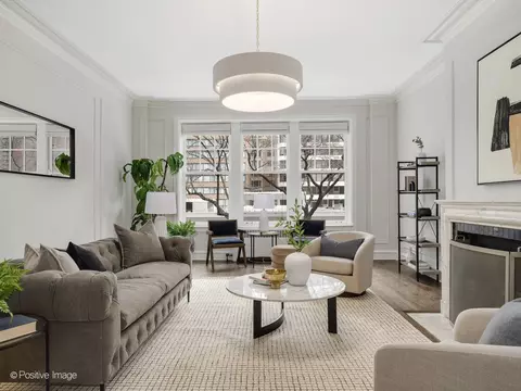 223 E Delaware Pl #3W, Chicago, IL 60611 photo 4